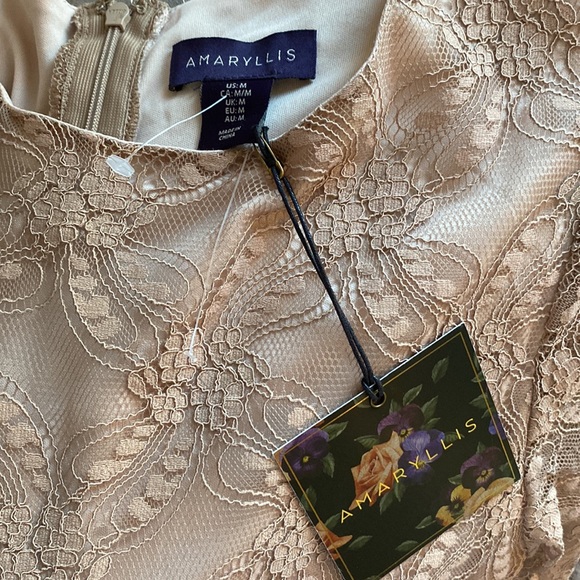 NWT Nude Lace Dress - Picture 5 of 5